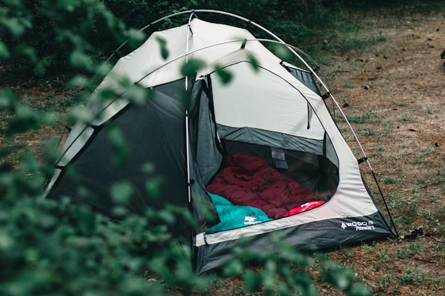 Le camping avec des animaux de compagnie