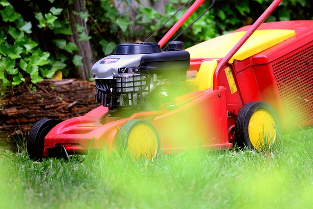 Les meilleures astuces pour entretenir facilement votre jardin