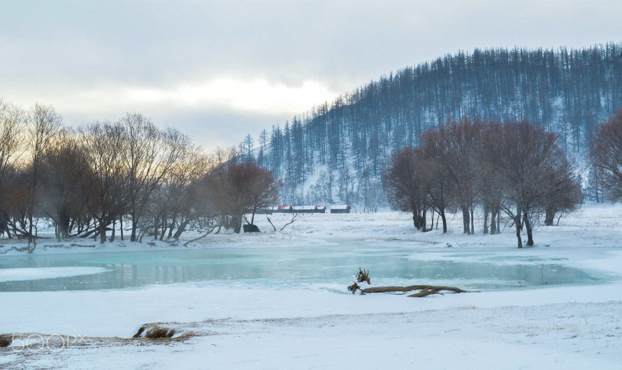 Les défis du voyage hivernal en Mongolie