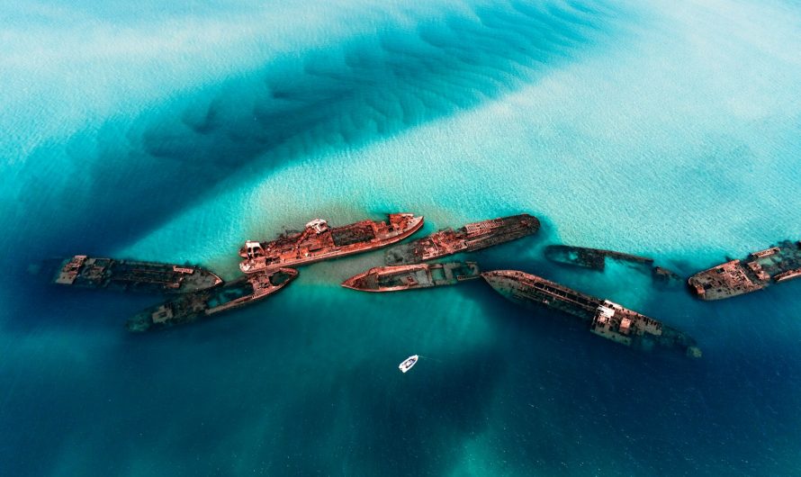 Road trips en Australie : découvrir les routes mythiques