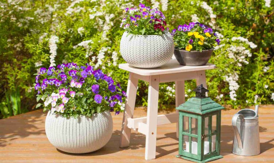 Comment faire sentir bon son jardin ?