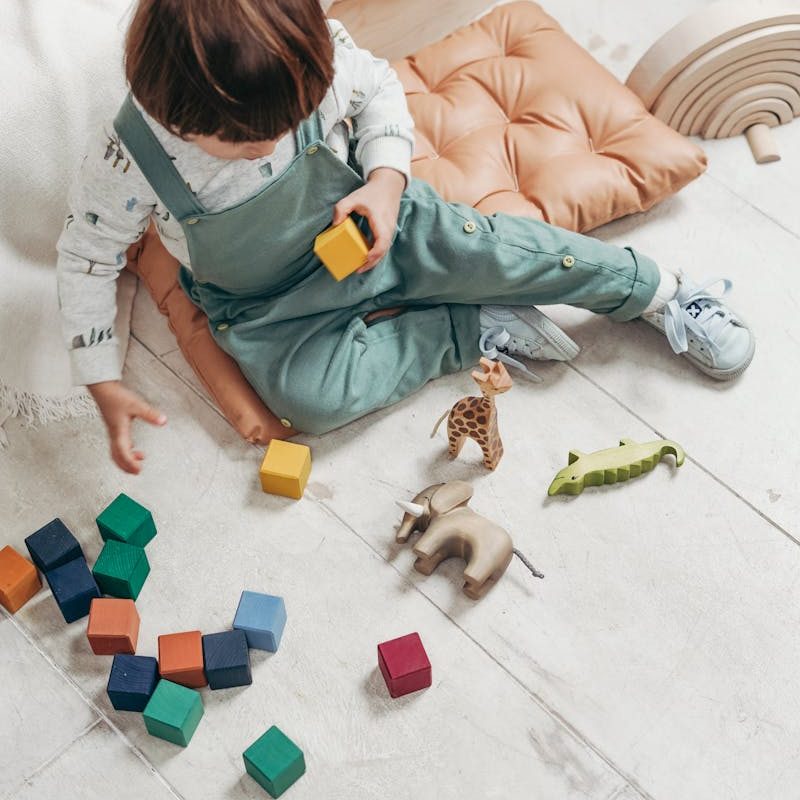 Un jeune enfant joue avec des blocs de bois colorés et des figurines d'animaux à l'intérieur.