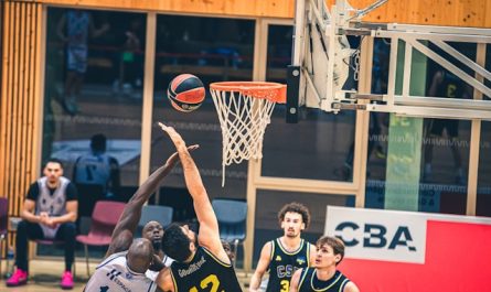 basket professionnel
