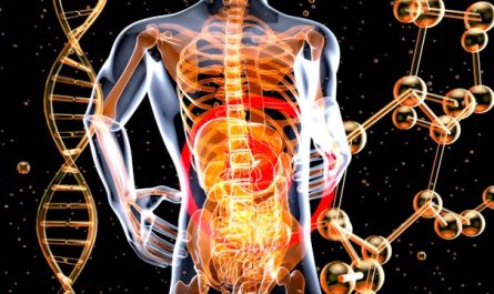 Microbiote et humeur