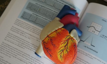 maladies cardiovasculaires