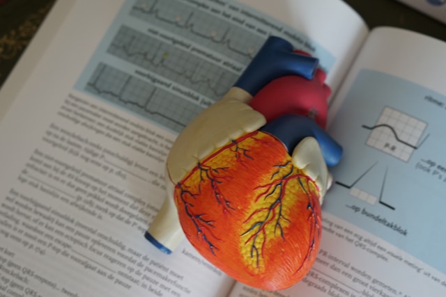 Prévenir les maladies cardiovasculaires au quotidien, sans régime drastique