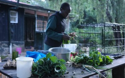 Alimentation durable