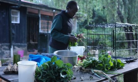 Alimentation durable